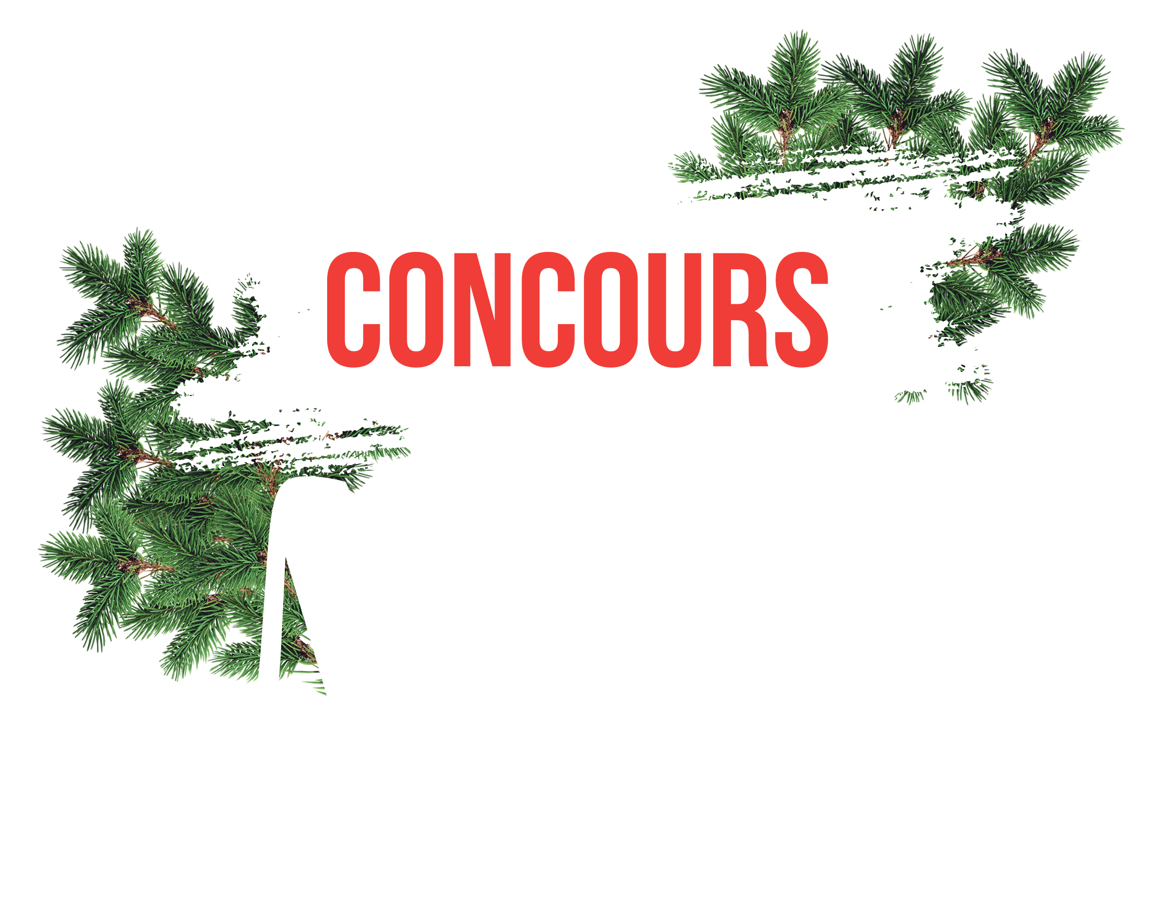 2024-concours-noel